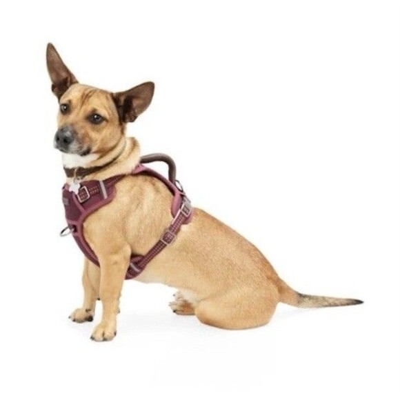 Reddy Canvas Dog Harness, Burgundy, Medium By Petco Open Box - Picture 1 of 4